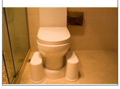 Artifact Squat Toilet Stool